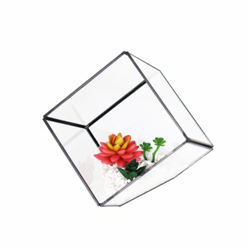 Bambeco Glass/Metal Square Terrarium with Succulents Perspective: front