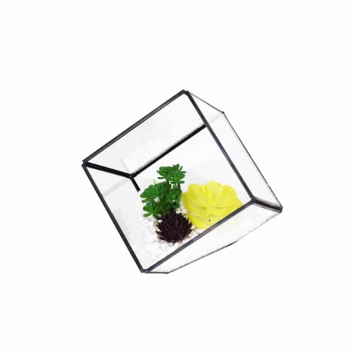 Bambeco Glass/Metal Square Terrarium with Succulents Perspective: front