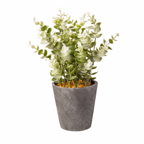 Bambeco Tall Eucalyptus in Planter Perspective: front