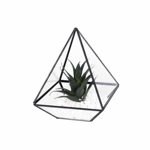 Bambeco Glass/Metal Pyramid Terrarium with Succulents Perspective: front