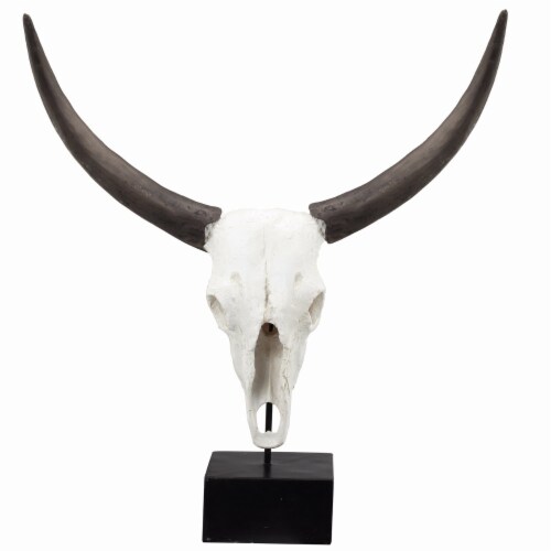 Wild & Beautiful Cow Skull, Resin- Saltoro Sherpi Perspective: front