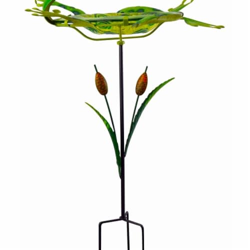 Red Carpet Studios 3D Bird Bath - Frog Perspective: front