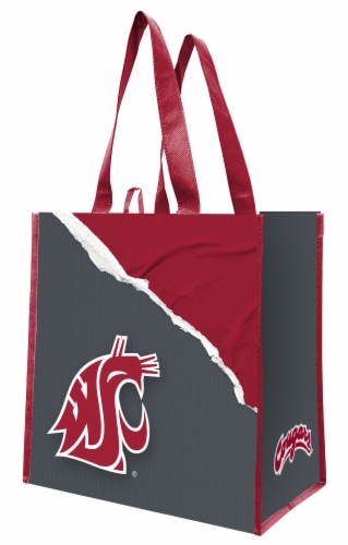 Washington St Bag Perspective: front