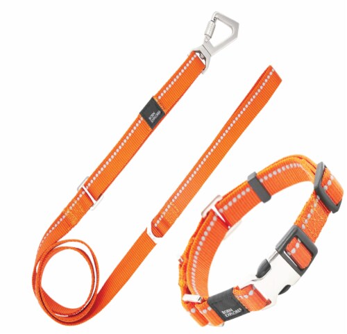 Pet Life Advent Outdoor Series Reflective Durable Martingale Training Dog Leash and Collar Perspective: front