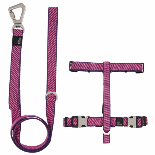 Convertible dog sales leash