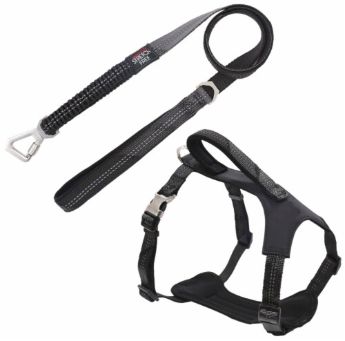 Pet Life Geo-prene 2-in-1 Shock Absorbing Neoprene Padded Reflective Dog Leash and Harness Perspective: front