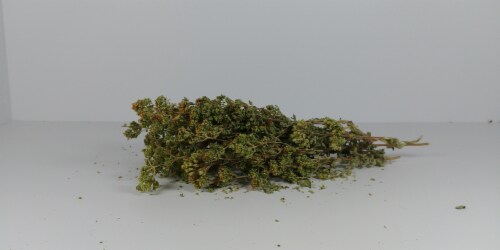 Village Batch Organic Oregano Bunches Perspective: front