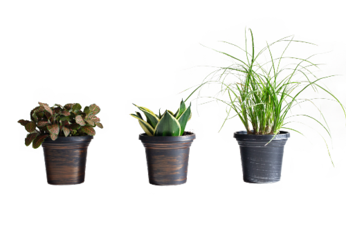 Assorted Home Decor Foliage Perspective: front