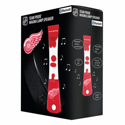 NHL Detroit Redwings Team Pride Magma Lamp Speaker Perspective: front