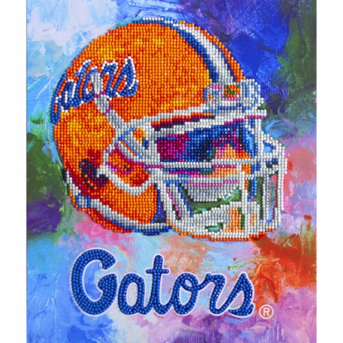 Florida Gators NFL Team Pride Diamond Painting Craft Kit Perspective: front