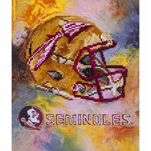 Florida State Seminoles NFL Team Pride Diamond Painting Craft Kit Perspective: front