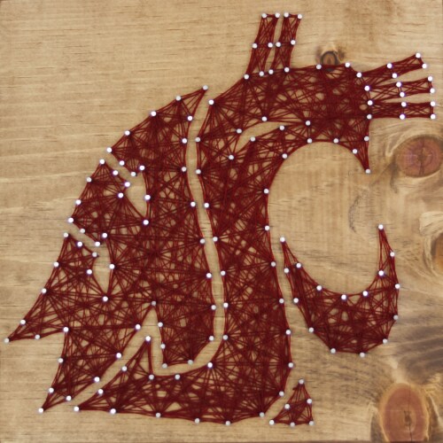 Washington State Cougars Team Pride String Art Craft Kit Perspective: front