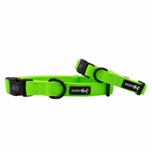Sassy Woof Dog Collars Perspective: front
