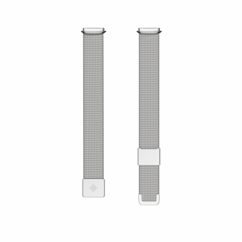 Fitbit Luxe Platinum Stainless Steel Mesh Band Perspective: front
