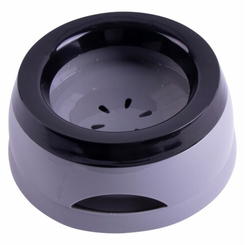 Dog bowl with deals splash guard