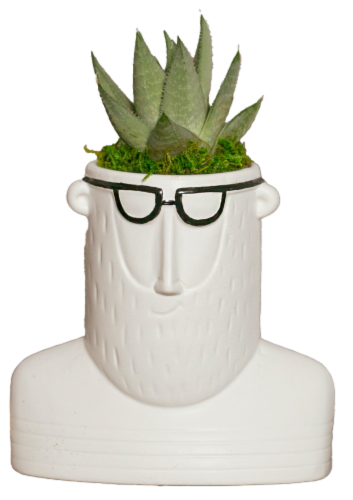 LiveTrends Hipster Potted Plant Perspective: front