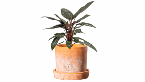 Chimney Planter Perspective: front