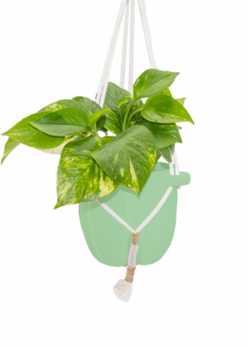 LiveTrends Sonnet Hanging Basket Perspective: front