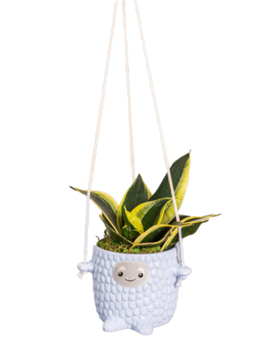 LiveTrends Jack Decorative Plant Accent Piece Perspective: front