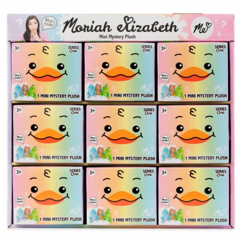 Bonkers Moriah 6 Inch Mystery Box Plush Toy Perspective: front