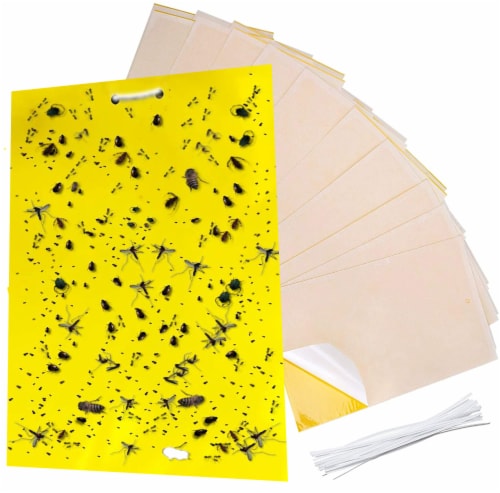 Yellow Sticky Bug Traps Sticky Fruit Fly Gnat Trap Mosquitos