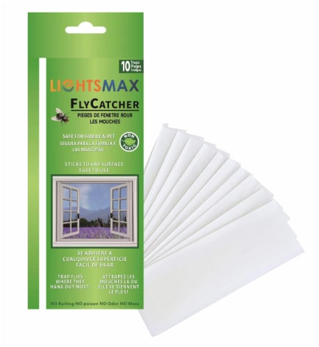 Fly Clear Window Fly Traps Bug Fly Killer Window Decal Non-Toxic, Total 10  Pices, 10 units - Fry's Food Stores