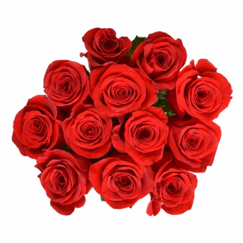 Fresh Red Roses - Dozen Bunch Perspective: front