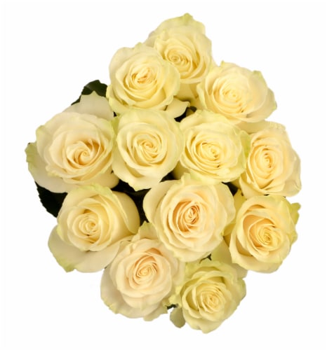 Fresh White Roses - Dozen Bunch Perspective: front