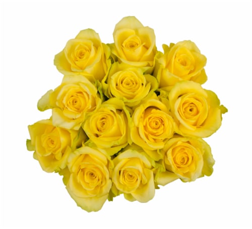 Fresh Yellow Roses - Dozen Bunch Perspective: front