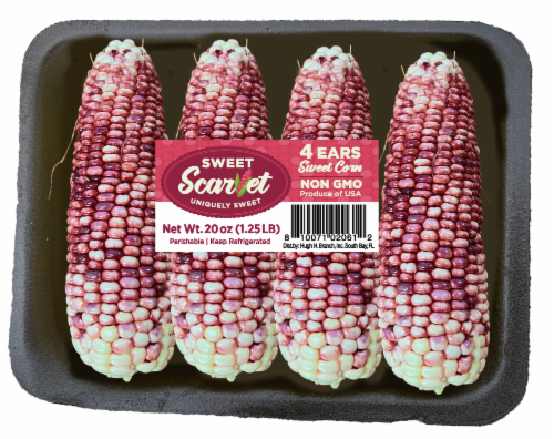 Sweet Scarlet Sweet Corn Perspective: front