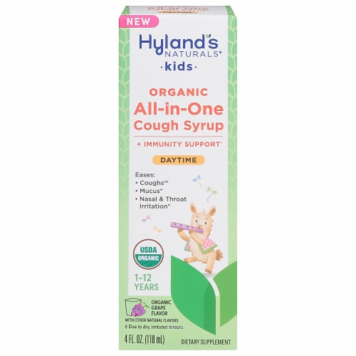 Hyland's Naturals® Kids Organic All in One Cough Syrup Daytime Perspective: front