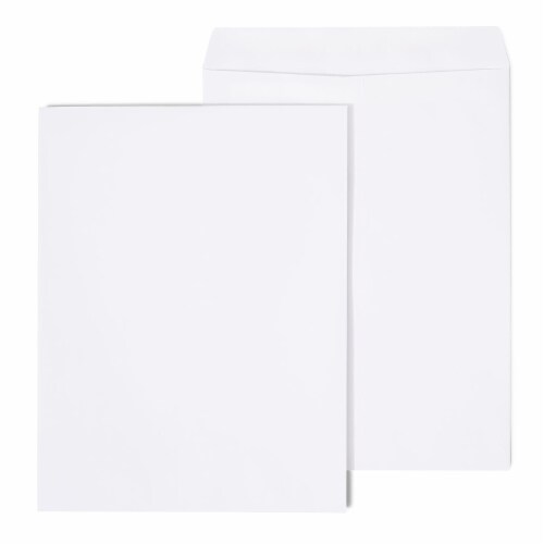 HITOUCH BUSINESS SERVICES Self Seal Catalog Envelopes 10 X 13 White 100 