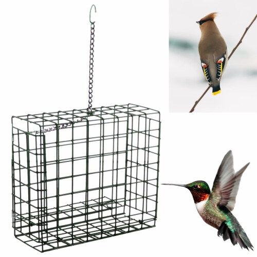 Wild Bird Feeder Seed Suet Cake Fruit Large Cage Hanging Tree Outdoor Garden New Wild Bird Feeder Seed Suet Cake Fruit Large Cage Hanging Tree Outdoor Garden New