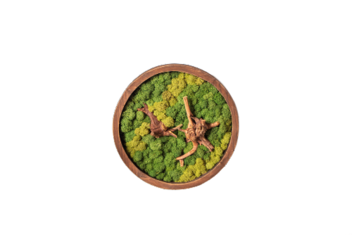 LiveTrends Aeriform Round Potted Plant Perspective: front