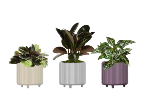 LiveTrends Potted Plants Perspective: front