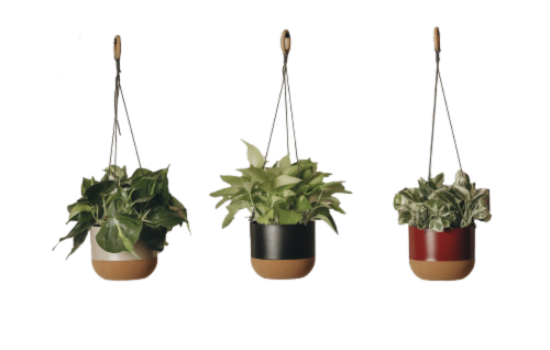 Hanging Foliage Basket Perspective: front