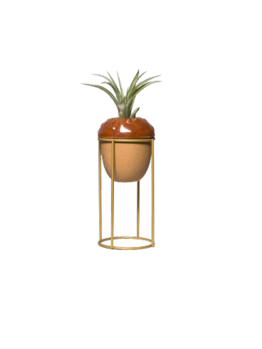 Oaknut Potted Plant Perspective: front