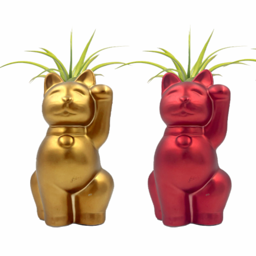 LiveTrends Koneko Potted Plant Perspective: front