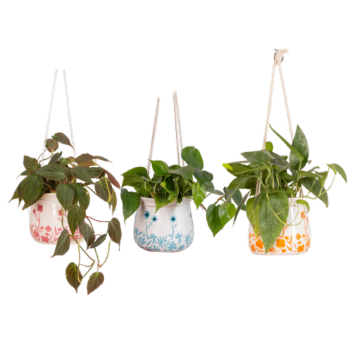 LiveTrends Breezy Meadows Hanging Basket - Red Blue Orange Perspective: front