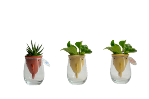 LiveTrends Ceramic Planters Perspective: front