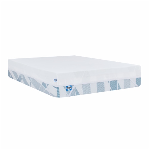 Sealy® Dreamlife 3in Memory Foam Topper - Queen Perspective: front