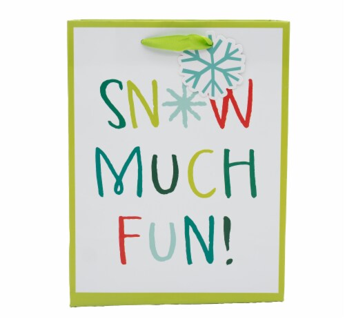 Seasonal Celebrations Snow Much Fun Value Cub Gift Bag Perspective: front
