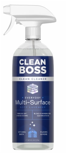 CleanBoss Multi-Surface Clean Cleaner Perspective: front