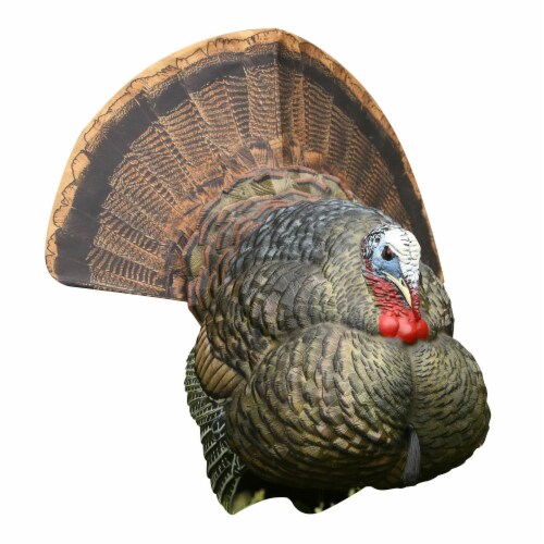 Avian-X AVX-AVX8004 Avian-X LCD Strutter Decoy, 1 - Kroger