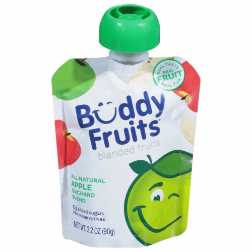 Buddy Fruits® Original Gluten Free Pure Blended Apple Fruit Pouch Perspective: front