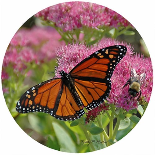 Andreas JO-KMB1 Kathy Miller Butterfly Jar Opener - 3 Pack Perspective: front