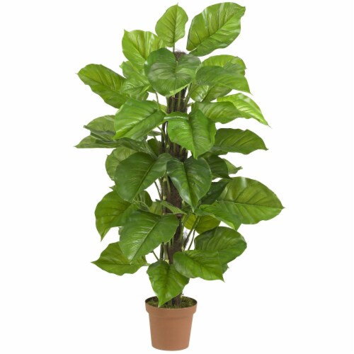 52-in Large Leaf Philodendron Plant (Real Touch) Perspective: front