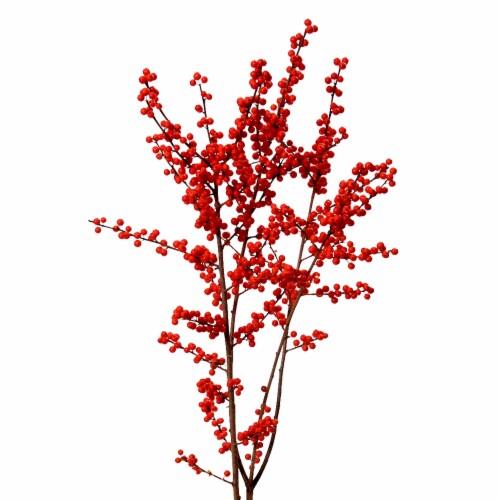 Fresh Cut Seasonal Berry & Pod Box Perspective: front