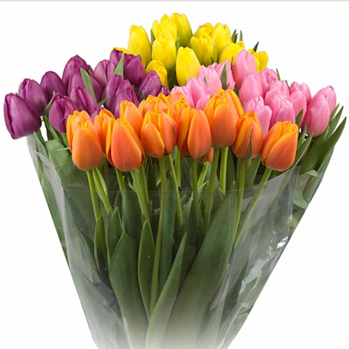 Fresh Cut Tulips Perspective: front