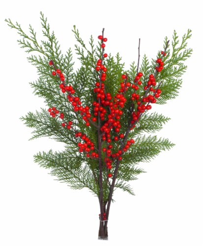 Winter Berry & Cedar, 4 stems - Kroger